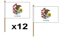 Illinois Hand Flags